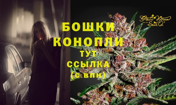 дурь Бородино