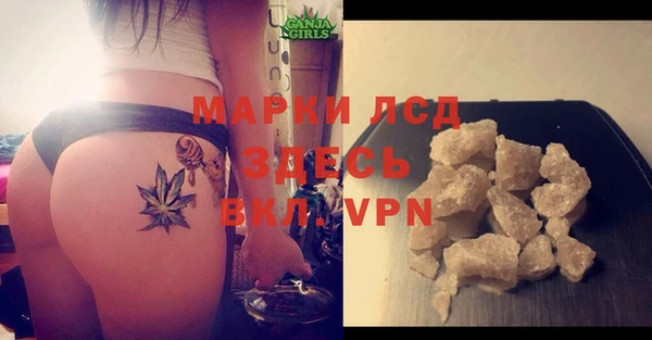 крисы Богородицк