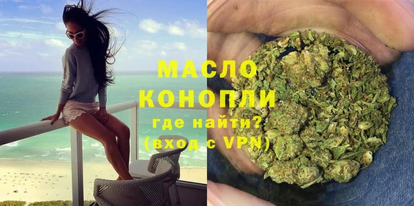 крисы Богородицк