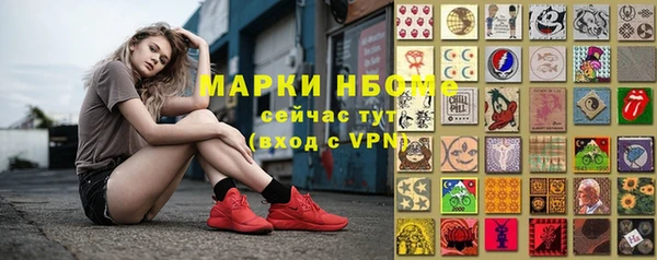 крисы Богородицк