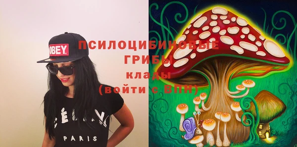 крисы Богородицк