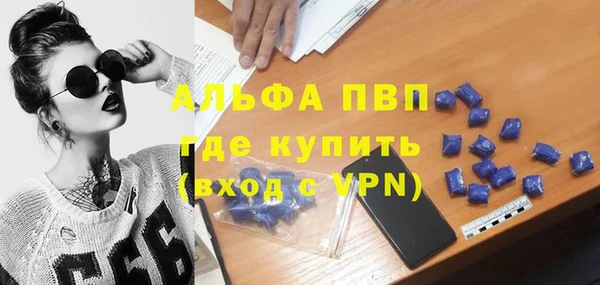 крисы Богородицк